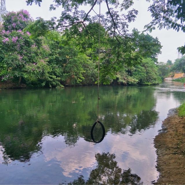 ภารกิจ ล่องเรือ ให้อาหารลิงที่ แก่งกระจาน
