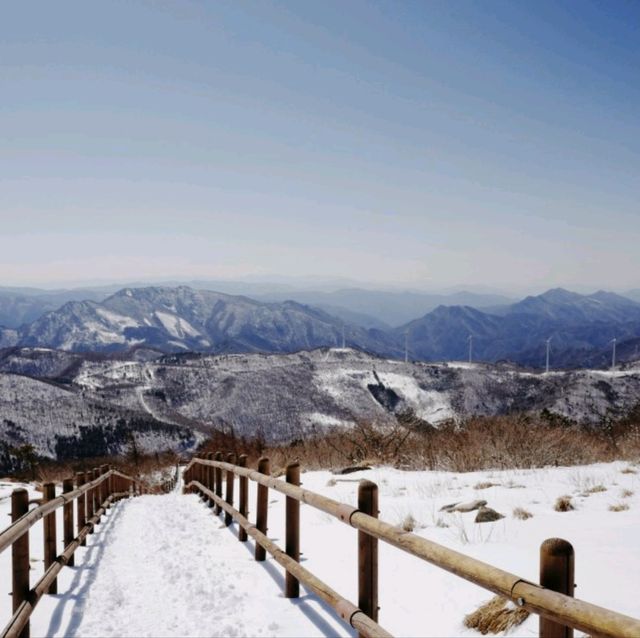함백산 눈꽃여행 