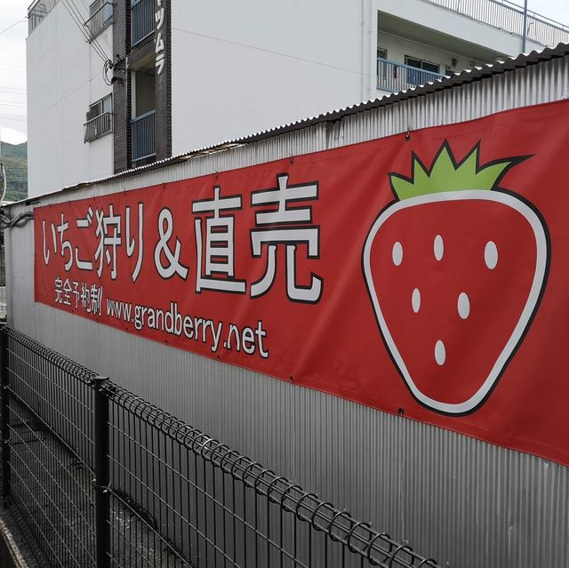 Grandberry Farm Osaka