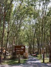 Camp Cafe คาเฟ่สไตล์แคมป์ปิ้ง ในสวนยาง อุดรฯ