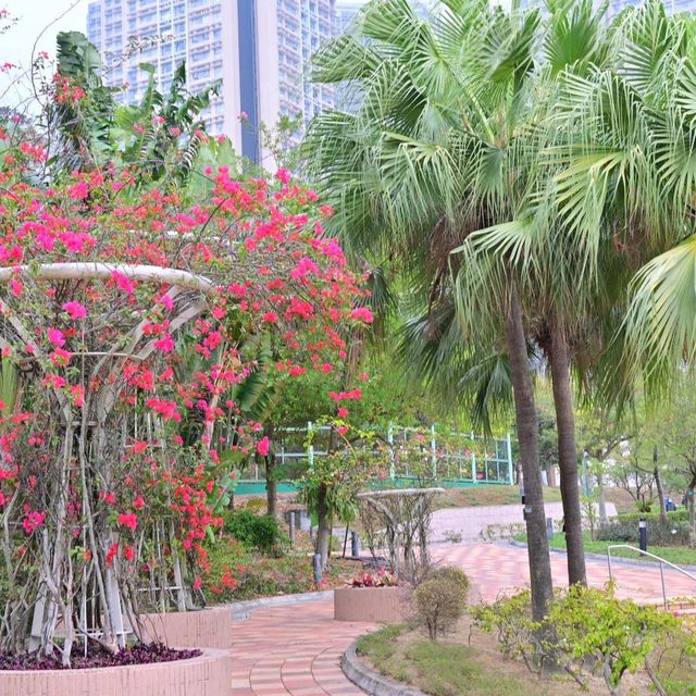 佐敦谷公園打卡絕對一流👍👍👍