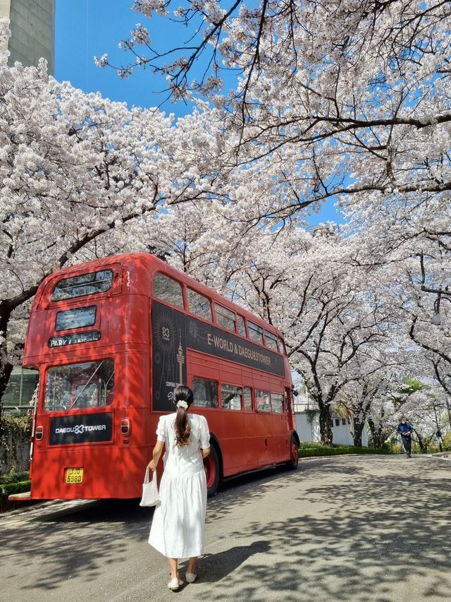 이월드 포토존 사진 남기기 꿀팁!🌸