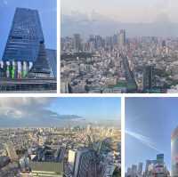 春季東京之旅第四日 – 涉谷一天遊