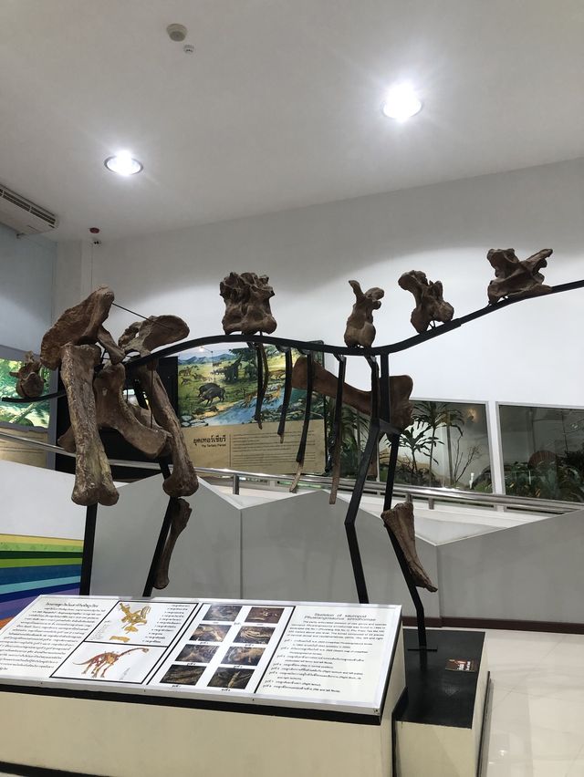 พิพิธภัณฑ์ไดโนเสาร์ @ภูเวียง ขอนแก่น🦕