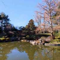 Brooklyn's Oasis: The Japanese Pond & Garden