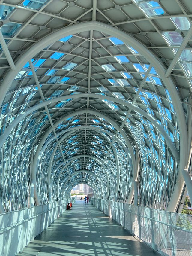 Saloma Bridge - lights you up 🔥