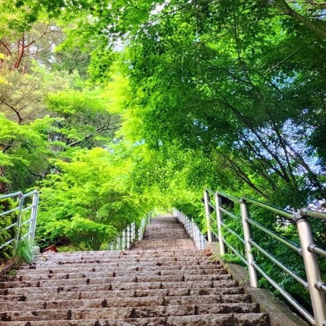 그림같은 후지산을 보라.