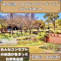 名古屋港ワイルドフラワーガーデンブルーボネット