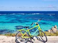 【オーストラリア・ロットネスト島】島の巡り方🚲