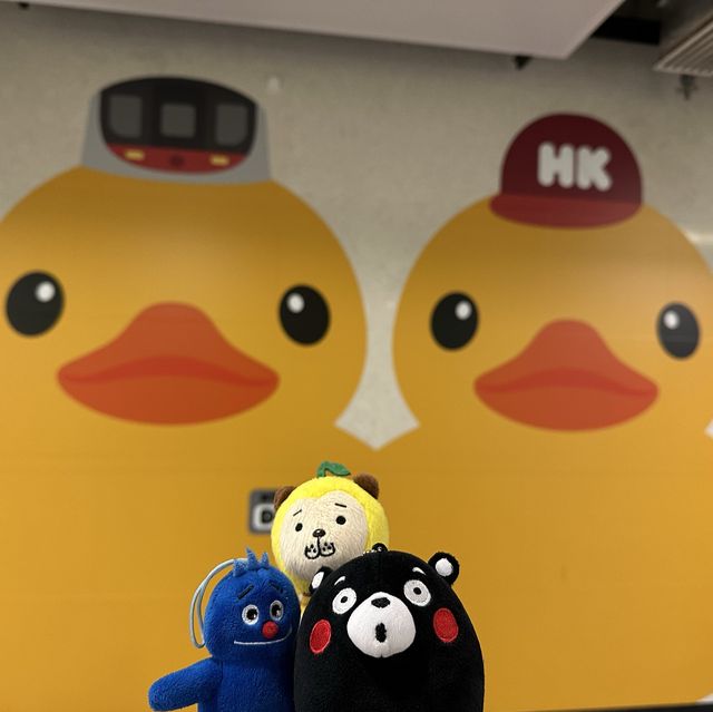 四遇鴨鴨Rubber Duck🤣