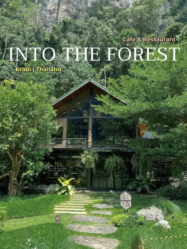 คาเฟ่กระบี่ กลางสวนยาง INTO THE FOREST 