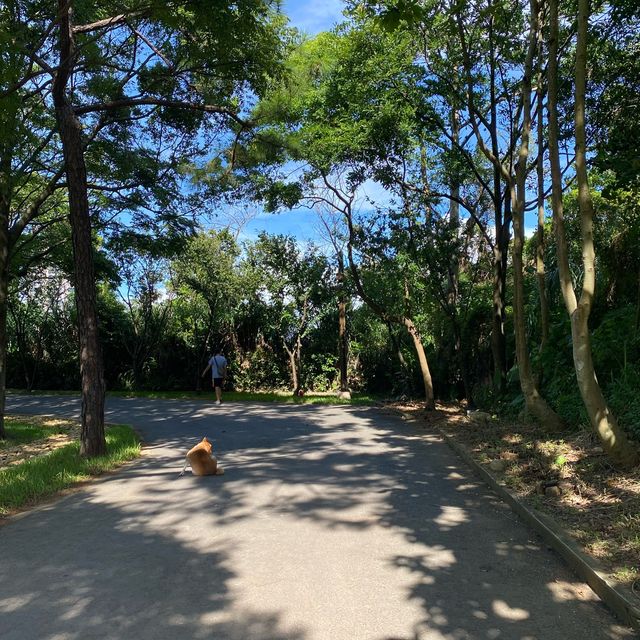 碉堡 廣場☀️
