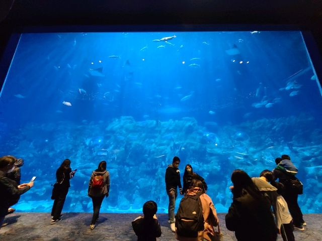 【重拾童年回憶~Ocean Park🎢】