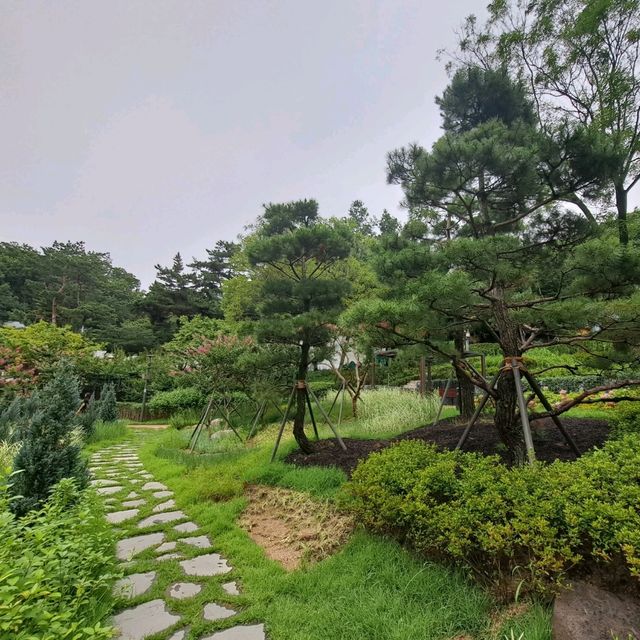 韓國景點📸峨嵯山生態公園😊親親大自然體驗日🌤
