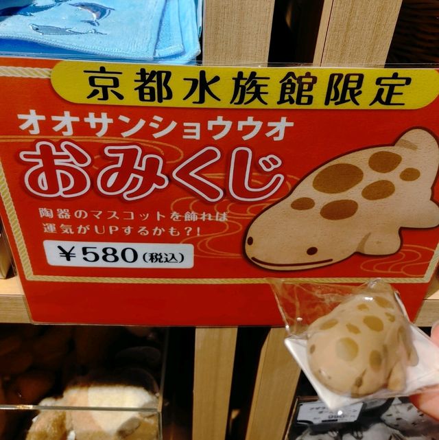 海の生き物ってどうやって眠るの？　夜の京都水族館