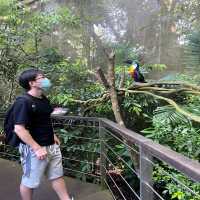 The Singapore Zoo Is An Animal Friendly Zoo