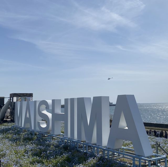 【大阪観光】ネモフィラ祭り🦋🌧