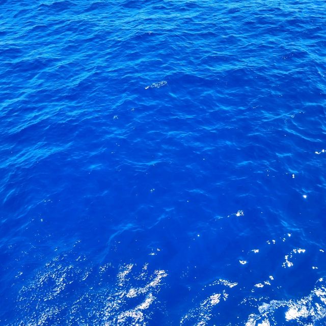 座間味島體驗浮潛樂趣