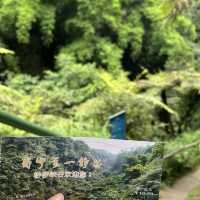 成都周邊桫欏峽谷：自然徒步