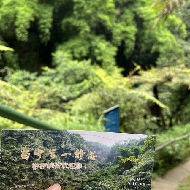 成都周邊桫欏峽谷：自然徒步