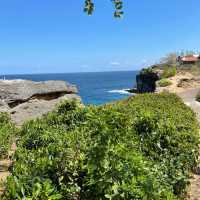 Day tour to Nusa Penida 