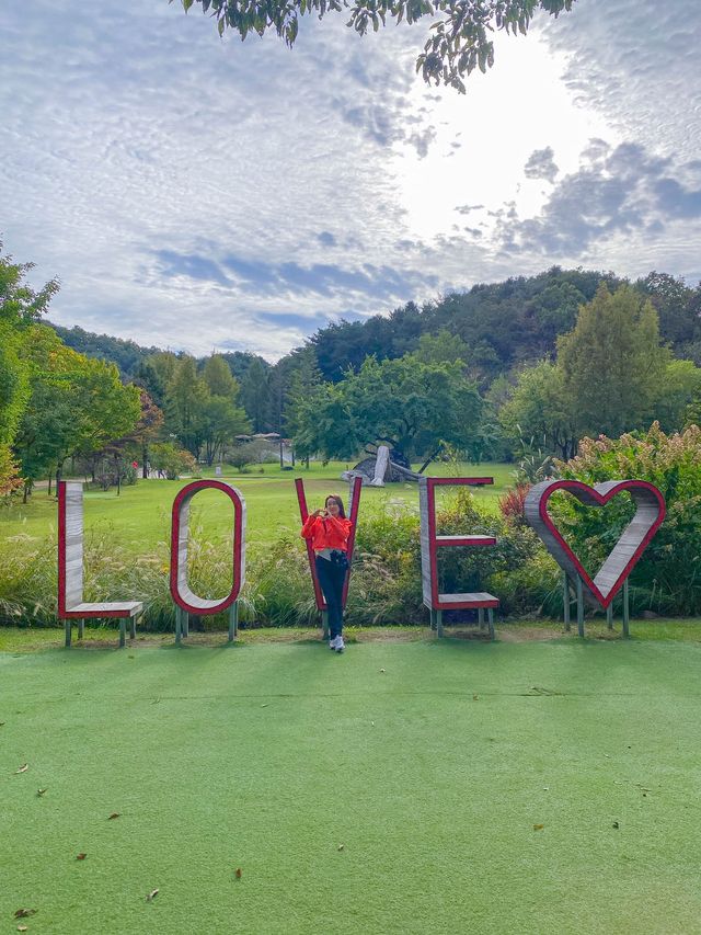 서울 근교 핑크뮬리 명소 🌸평강랜드