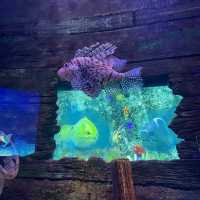 A Mesmerizing Underwater Adventure