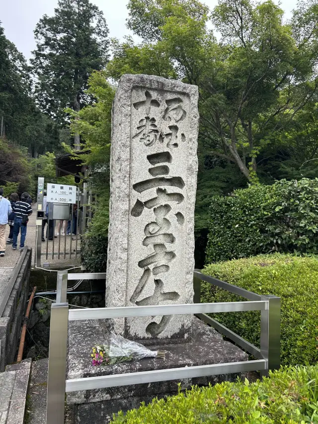 【京都】三室戸寺の紫陽花