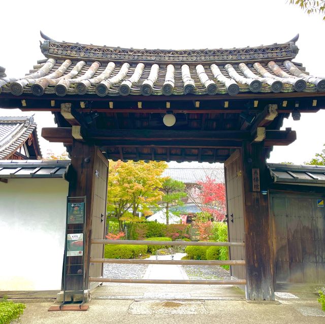 Tentoku-in Tranquility: Kyoto's Serenity