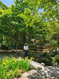 멋진 풍경의 보성 대원사에서 힐링🌳🌳