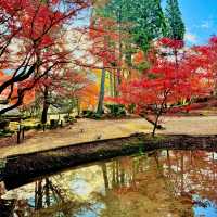 曽木公園