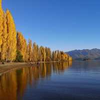 Lake Wanaka autumn colours 