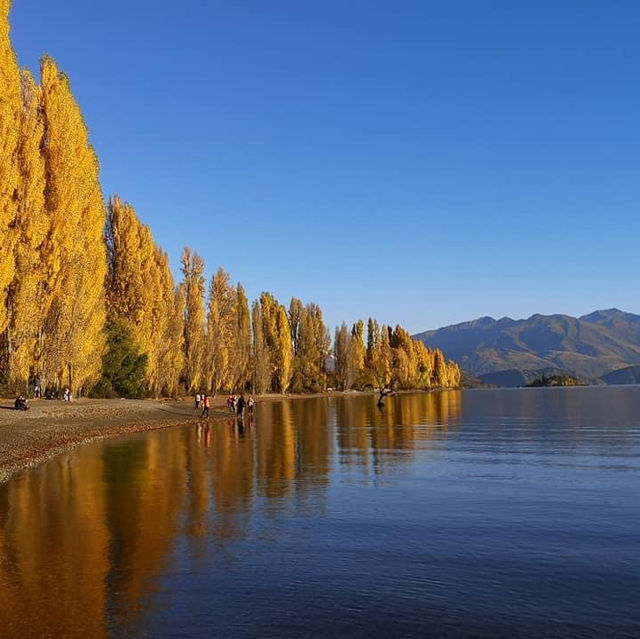 Lake Wanaka autumn colours 