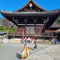 The Beautiful Kiyomizu Dera Temple 