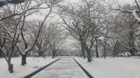 冬季遊日本東北，雪中的白石城。