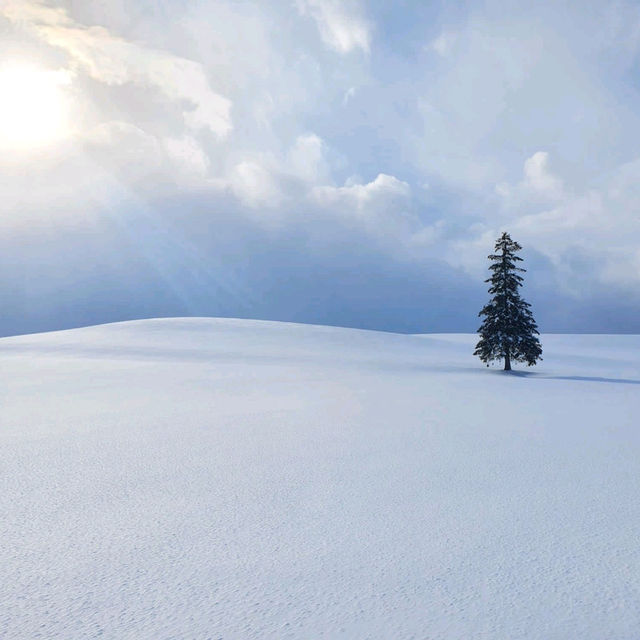 Winter Wonderland in Hokkaido