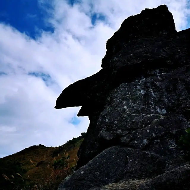 鳳鳥石·羅漢塔·一樹洞