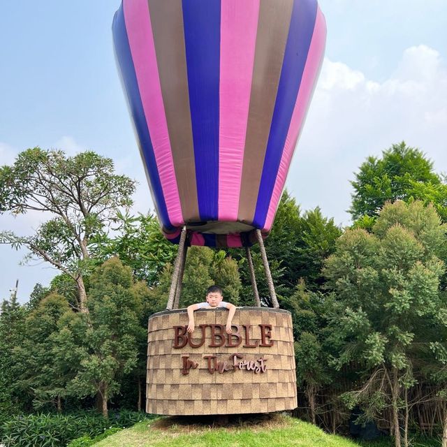 🌹Bubble In The Forest🌹🏡🌴🌳🏝️🍹🥥🪷🌻🌼🌸🌺