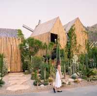 Chan nature cafe’