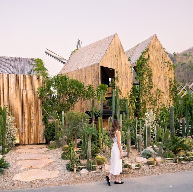 Chan nature cafe’