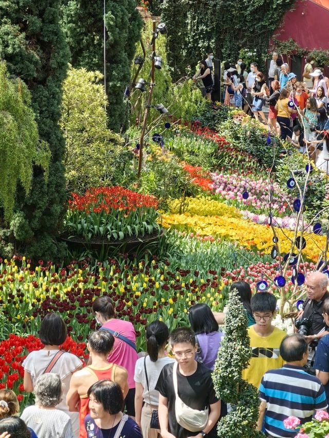 TulipMania @FlowerDome Gardens By The Bay