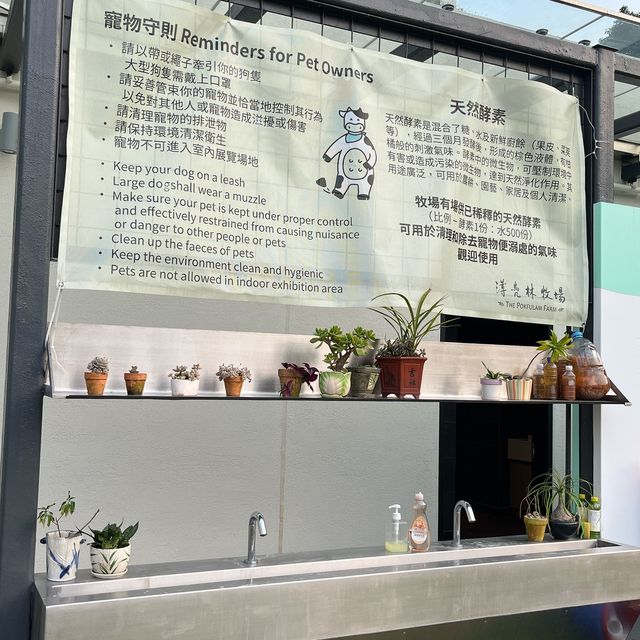 親子假日好去處 @ 薄鳧林牧場