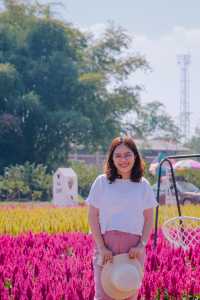 JP Farm Phitsanulok