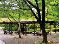 สวนสาธารณะกิฟุ (Gifu Park)🌳🌿