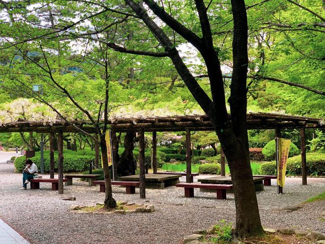 สวนสาธารณะกิฟุ (Gifu Park)🌳🌿