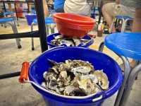 【 2023 嘉義美食 】布袋漁港 鮮蚵吃到飽 新鮮海鮮