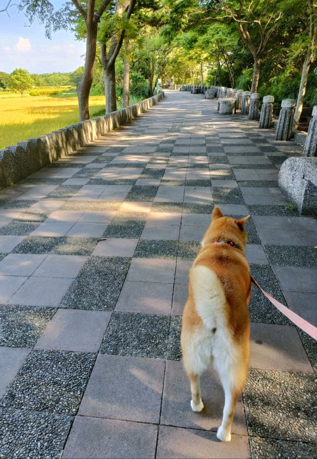 石門大圳過嶺支渠休憩步道
