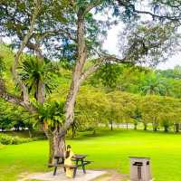 HIDDEN GEM PARK IN KL MALAYSIA