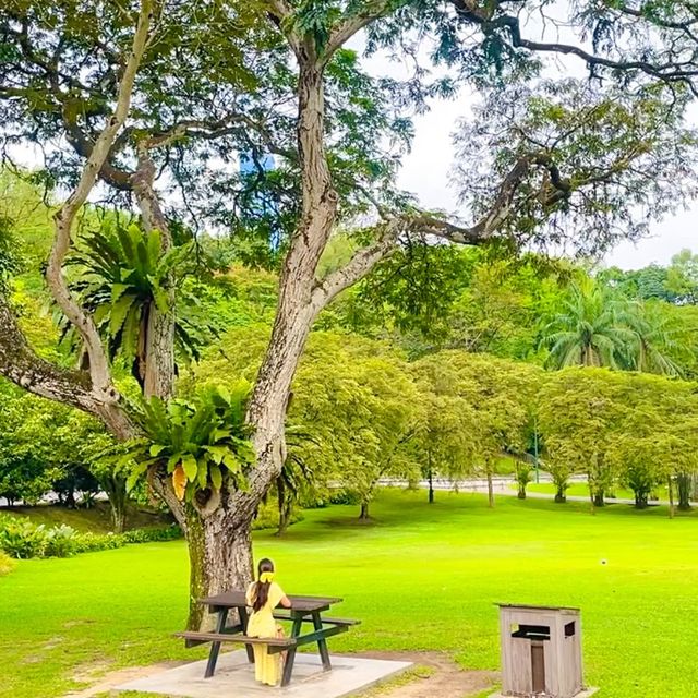 HIDDEN GEM PARK IN KL MALAYSIA
