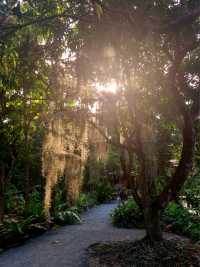 Hidden Oasis in Bangkok - Poomjai Garden